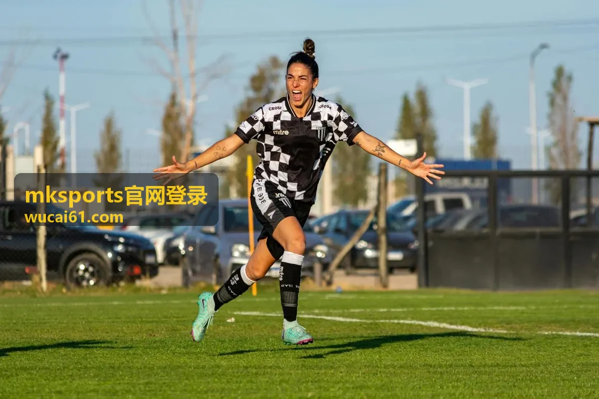 mksports官网登录 密码输入页面示意