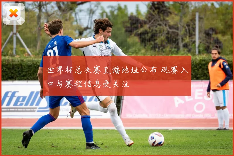 世界杯总决赛直播地址公布 观赛入口与赛程信息受关注