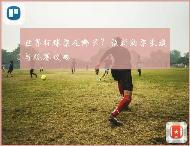 世界杯球票在哪买?最新购票渠道与观赛攻略