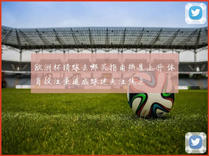 欧洲杯猜球去哪买指南热度上升 体育投注渠道成球迷关注焦点